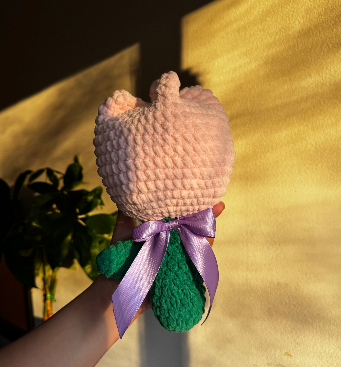 Tulipan